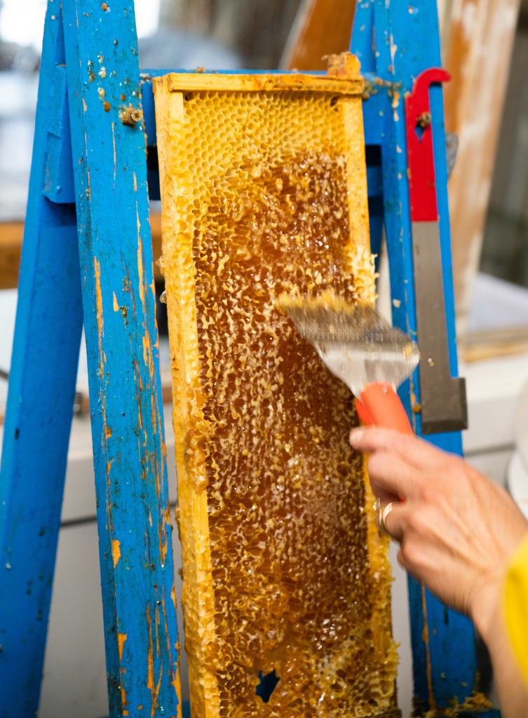 Great activity for couples or families, no height or fitness requirements - from 5 yrs old to 95 yrs old this is the quintessential Kiwi Honey and Bee Experience visitors love.