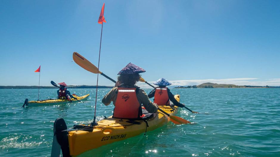 Browns Island Sea Kayak tour