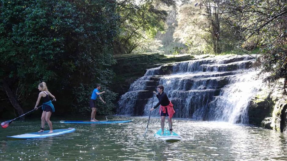 Paddle along the picturesque coastline, encounter secluded gems, and enjoy the serenity of Albany's waterways by SUP paddle board...