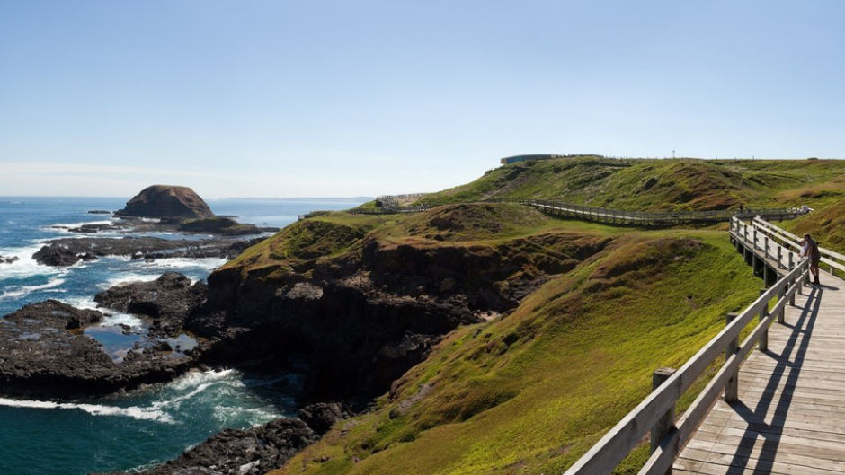 Experience the Penguin Parade on Phillip Island with a later departure from Melbourne on Go West Tours' Penguin Express.