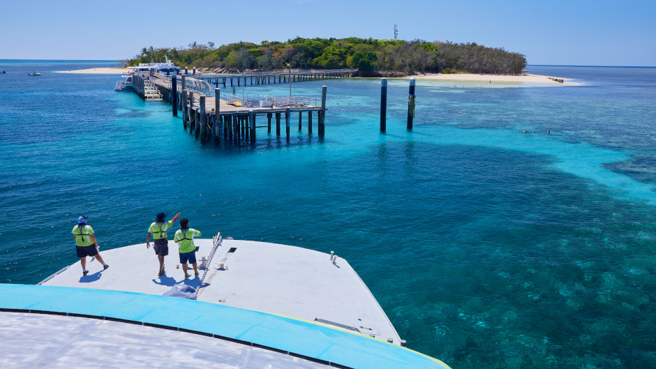 Spend a day exploring and relaxing on Green Island with Big Cat Green Island Reef Cruises. Enjoy a day on one of the most spectacular tropical Island's on the Great Barrier Reef!