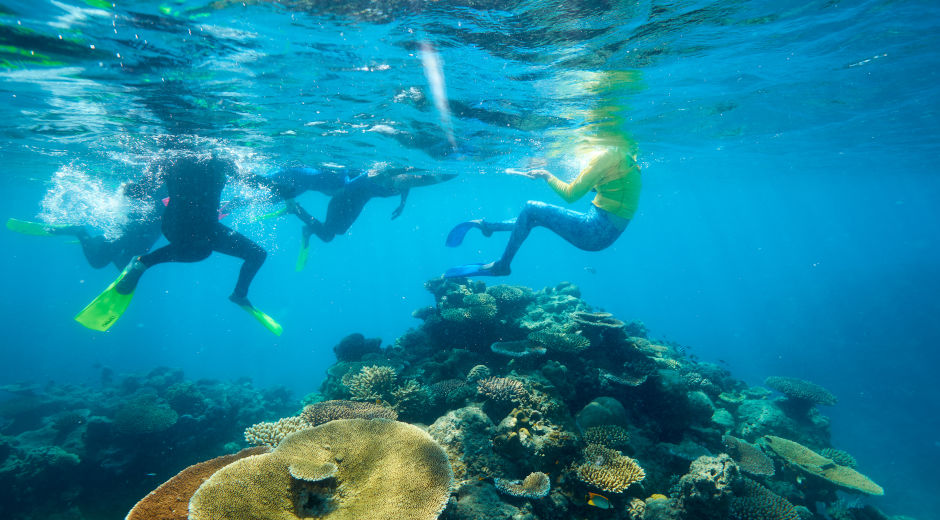 Spend a day exploring and relaxing on Green Island with Big Cat Green Island Reef Cruises. Enjoy a day on one of the most spectacular tropical Island's on the Great Barrier Reef!
