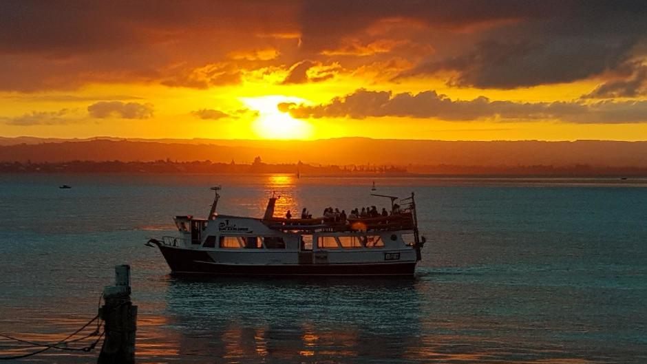 Discover the enchanting allure of Tauranga Harbour on Bay Explorer's afternoon cruise, a captivating experience perfect for families, couples, locals, and travelers alike!
