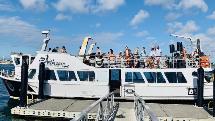 Tauranga Scenic Harbour Cruise