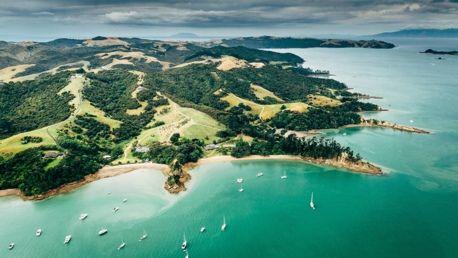 Experience a delightful Waiheke wine tour with palate-tantalising food, world-famous wines, and local delicacies on our Sip & Savour Tour!