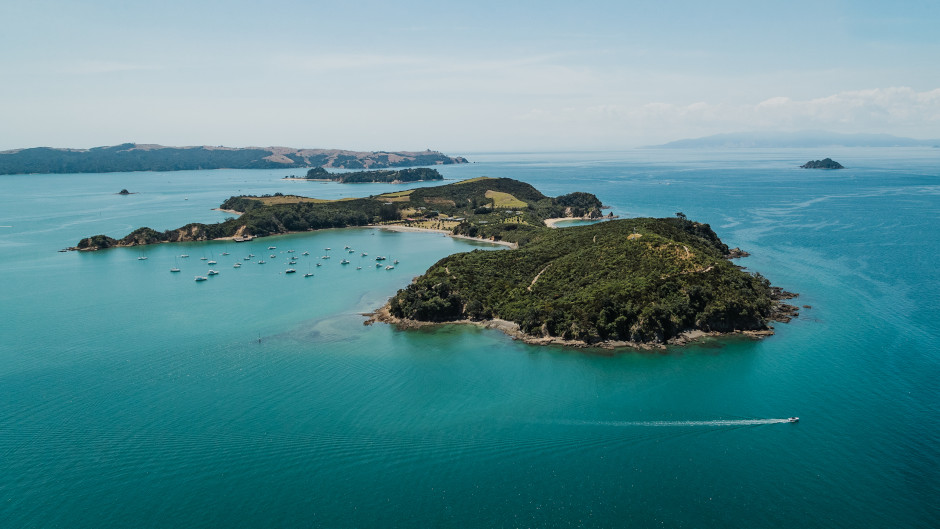 Jump on our quick ferry transfer to Rotoroa Island and spend the day exploring at your own pace!