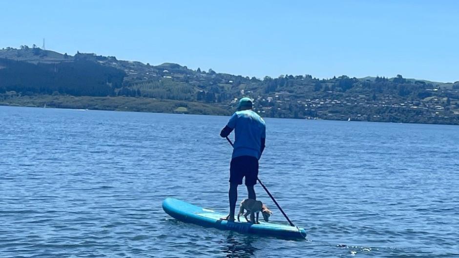 Experience the serenity of Lake Taupō with our Stand Up Paddle Board Hire! 