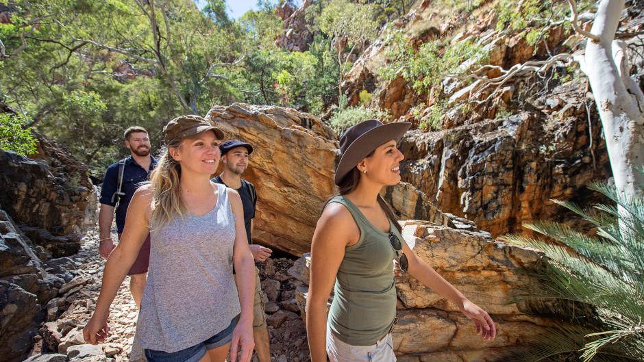 Embark on a captivating adventure with our 1 Day West MacDonnell Ranges tour, a journey into the heart of central Australia's breathtaking landscapes such as Standley Chasm and Ormiston Gorge to name just a few.