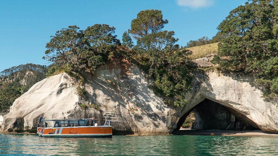 Discover the iconic Cathedral Cove including its spectacular surrounds along the Pacific Coastline!