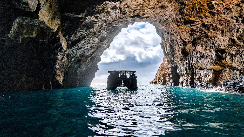 Discover the iconic Cathedral Cove including its spectacular surrounds along the Pacific Coastline!