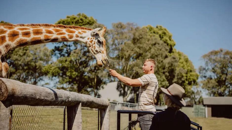 Experience an extra special wildlife adventure in the heart of Australia's wine country at Hunter Valley!