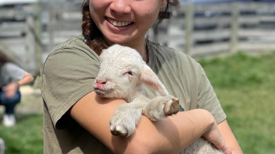 Come visit our petting Zoo and feed our farm animals. We provide food with every entry for you to hand feed the animals and you can bottle feed our pet lambs and take photos with them!