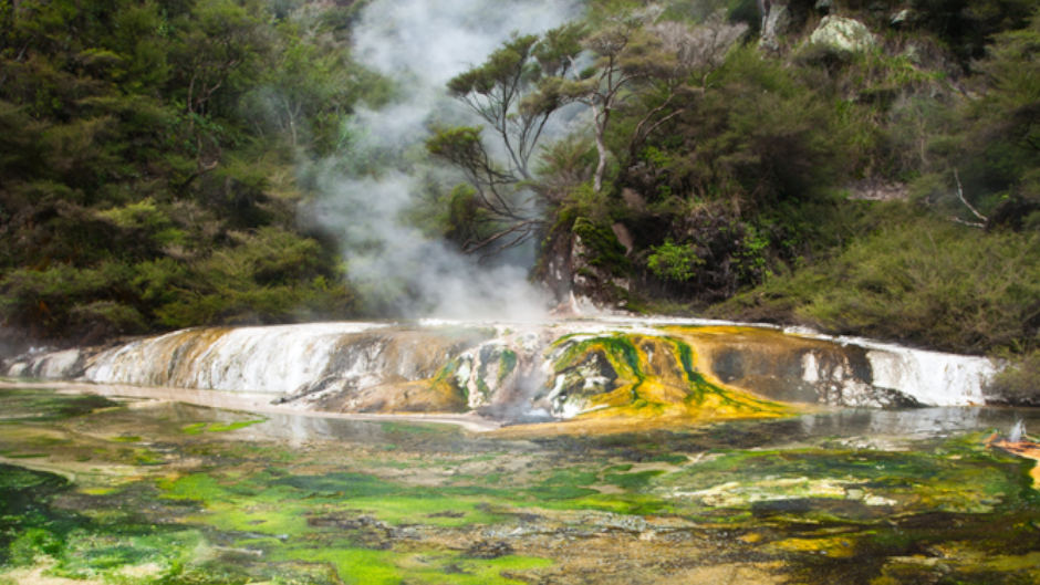Discover the natural wonders of Wai-o-Tapu or Waimangu by convenient shuttle service!