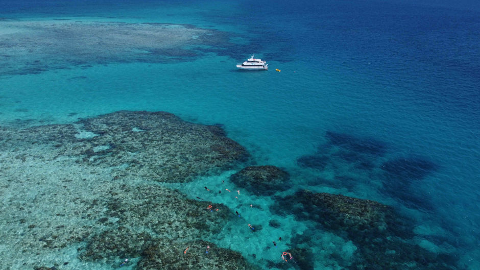 Join Dunk Island Reef Adventures Experience a unique adventure blending land and water exploration on tours of Beaver Reef and Dunk Island in one day.