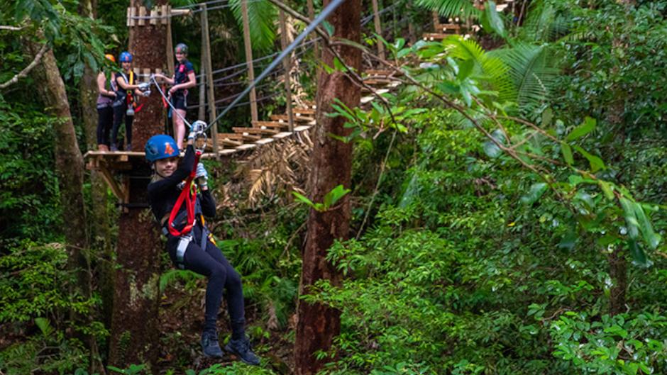 Experience the Daintree like never before with this Ultimate Daintree Tour! 