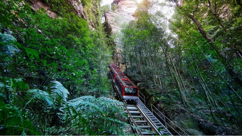 Embark on the ultimate adventure with the Blue Mountains All Inclusive Signature Day Tour! 