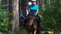Horse Trek Bay of Islands - 2 Hour Waitangi Forest Ride