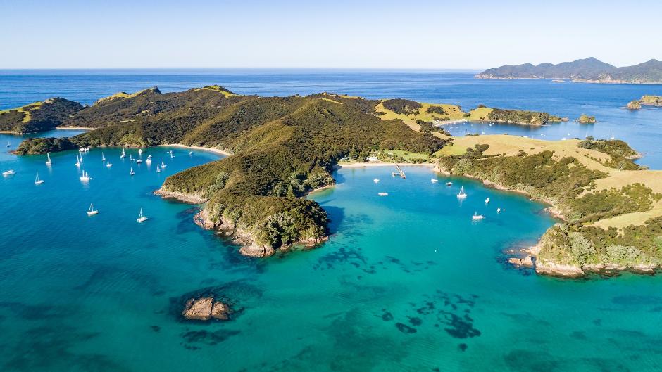 Join us for an unforgettable cruising adventure and discover the very best of the Bay of Islands!