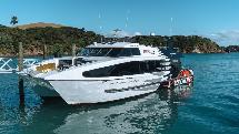 Dolphin Eco Cruise 