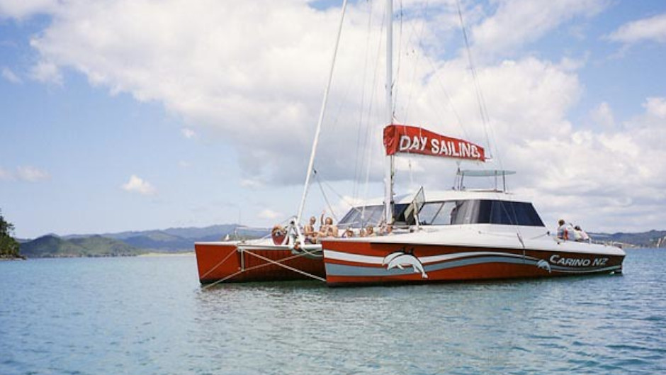 Join Carino Wildlife Cruises for the ultimate day exploring the beautiful Bay of Islands.