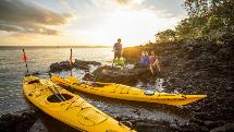Rangitoto Island Sunset Kayak with BBQ Dinner - Auckland Sea Kayaks