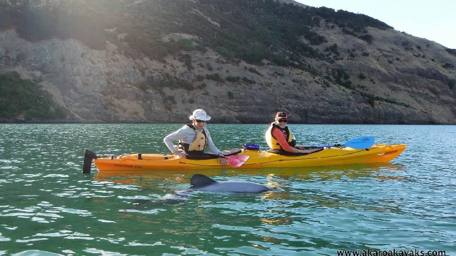 Come and join us for an amazing fully guided sea kayaking safari in an extinct volcano crater! 
Our sunrise safari is suitable for people who have kayaked before. ( 3 hours)
The Crater Cruiser safari suits all levels and ages -first timers are welcome.( 2- 2.5 hours)