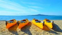 Rangitoto Island Day Sea Kayak Tour with BBQ Lunch - Auckland Sea Kayaks