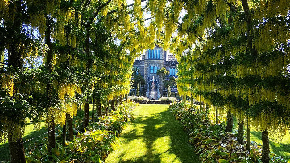 Larnach Castle - Dunedin's Must See Visitor Attraction!