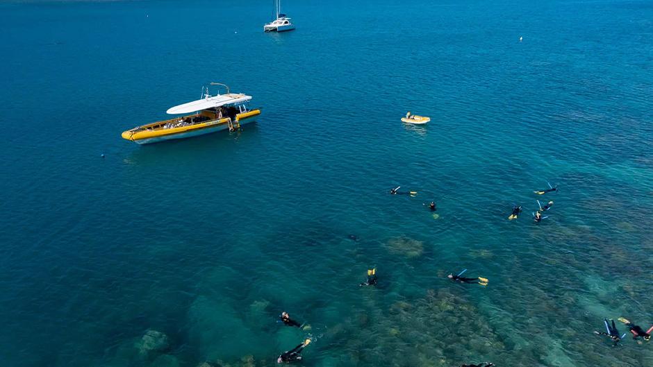 Explore both ends of Whitehaven Beach, Hill Inlet’s swirling sands and enjoy island reef snorkelling at one of the many stunning coral reefs around the Whitsunday Islands on-board Big Fury!