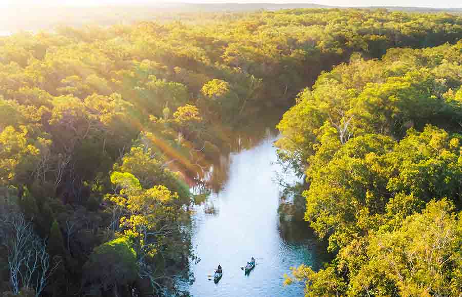 Experience the stunning beauty and abundant wildlife in the mirrored waterways of Australia’s only Everglades system, the Noosa Everglades.
