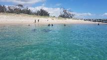 Snorkel Experience on Wave Break Island (Excludes $5 Registration Fee) - 4 hour guided tour by boat