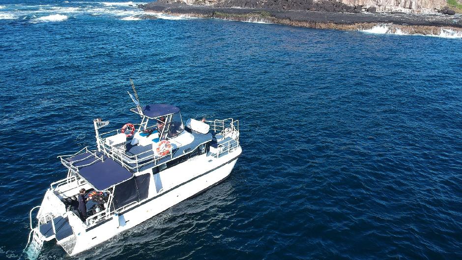 Experience Scuba Diving on Gold Coasts' Wave Break Island with Gold Coast Dive Centre!