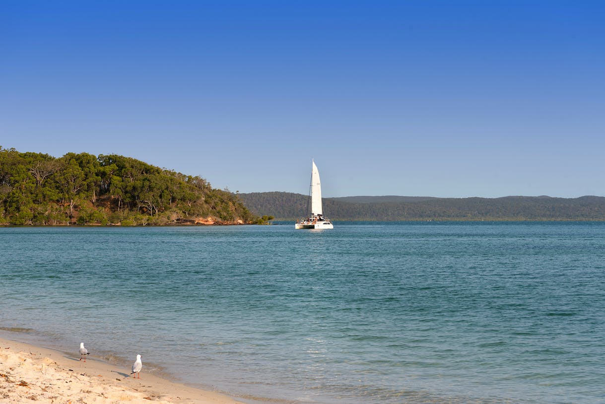 Come aboard Aria Cruises for a 5 hour adventure as we cruise Moreton Bay and sail to Peel Island!