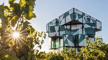 McLaren Vale & The Cube Experience - Adelaide Sightseeing
