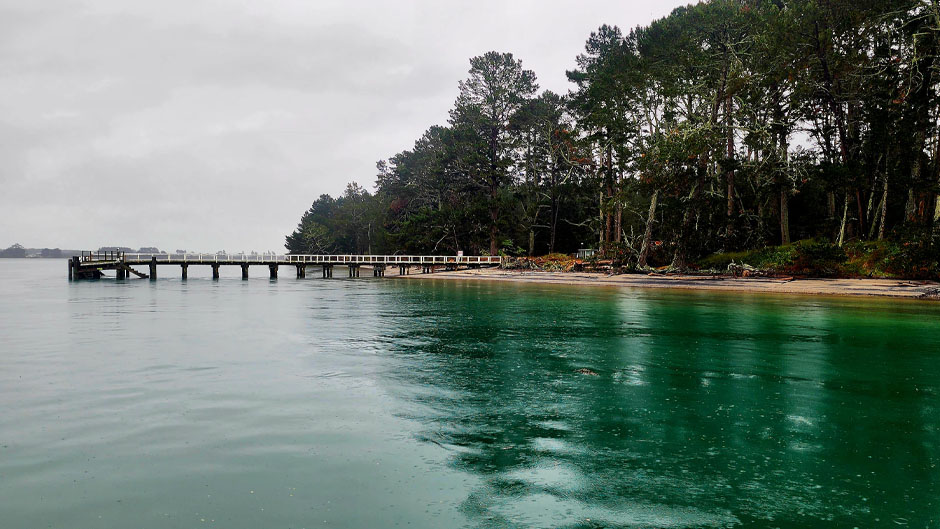 1hr Cruise - scenic harbour cruise Mount Maunganui