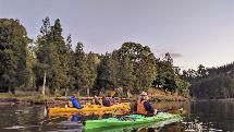 Waimarino Kayak Tours - Evening Glow Worm Kayak Tour 