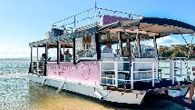 Noosa River and Canal Sip and Dip Daytime Cruise