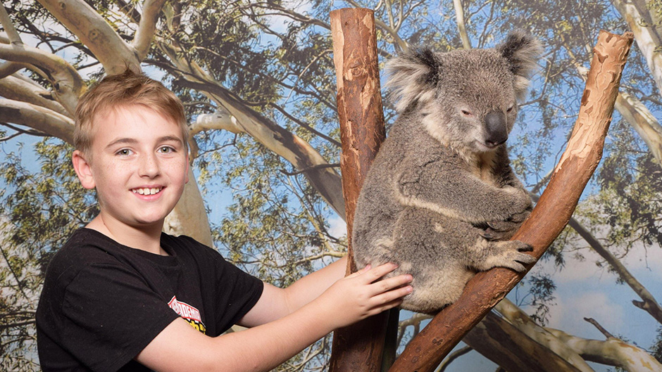 Immerse yourself in an incredible wildlife experience and get up close with Australia’s wildlife at Featherdale!