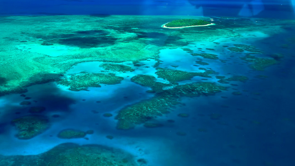 Join Great Barrier Reef Scenic Flights from Cairns for an unforgettable 40 minute scenic flight over the World Heritage listed coral reef system!