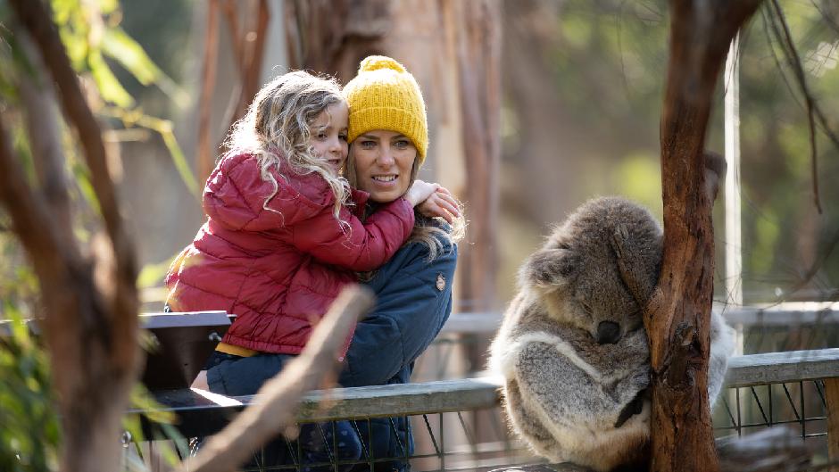 Get up close and personal with a host of Aussie wildlife, see the fantastic coastline of Phillip Island and then witness one of Australia’s most spectacular wildlife experiences as hundreds of the world’s tinniest penguins waddle ashore!  