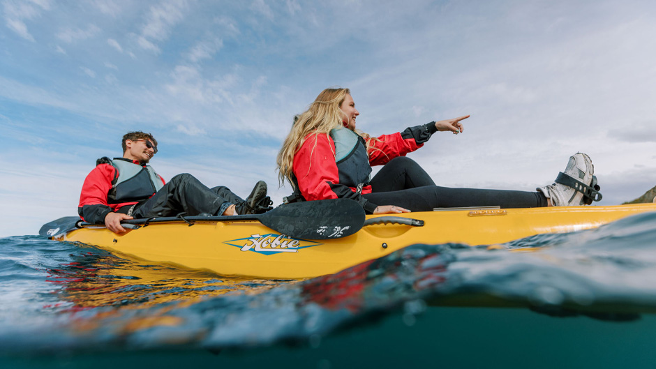 Seal Kayak Kaikoura