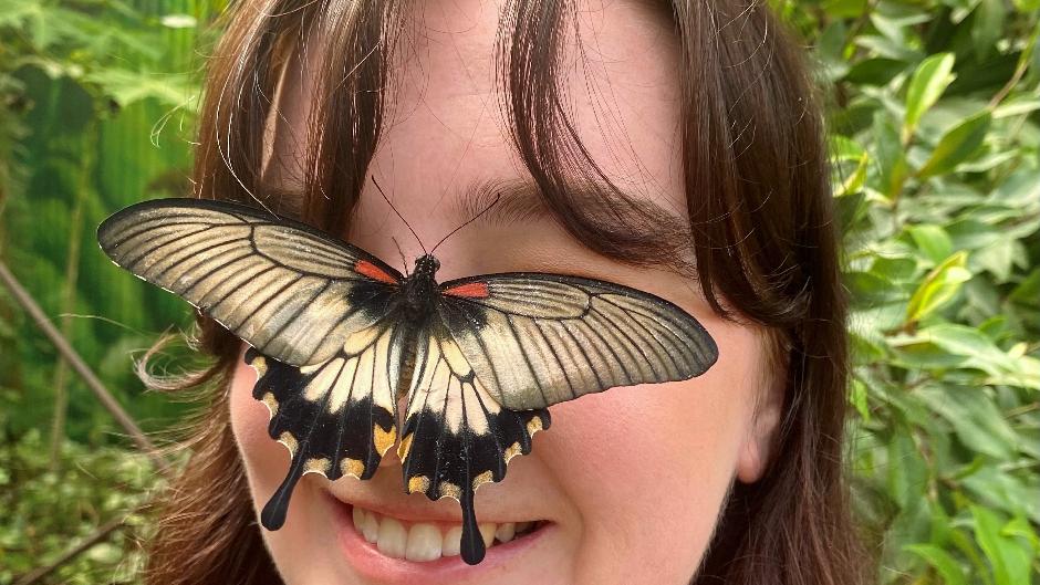 Located just minutes from Auckland International Airport, Butterfly Creek is a fun blend of animal exhibits and amazing interactive attractions!