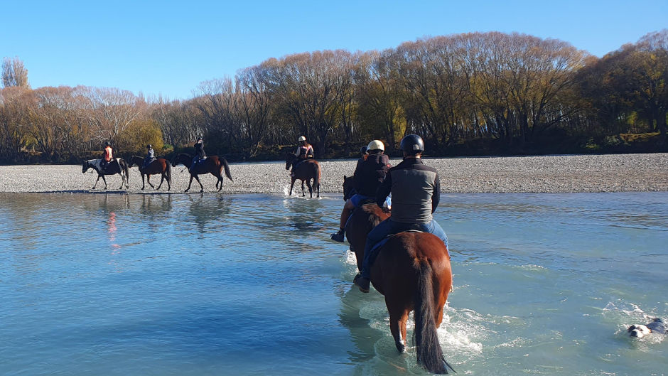 Set amongst stunning riverside scenery, Waimak River Riding Centre offers a safe and enjoyable riding experience for all abilities!
