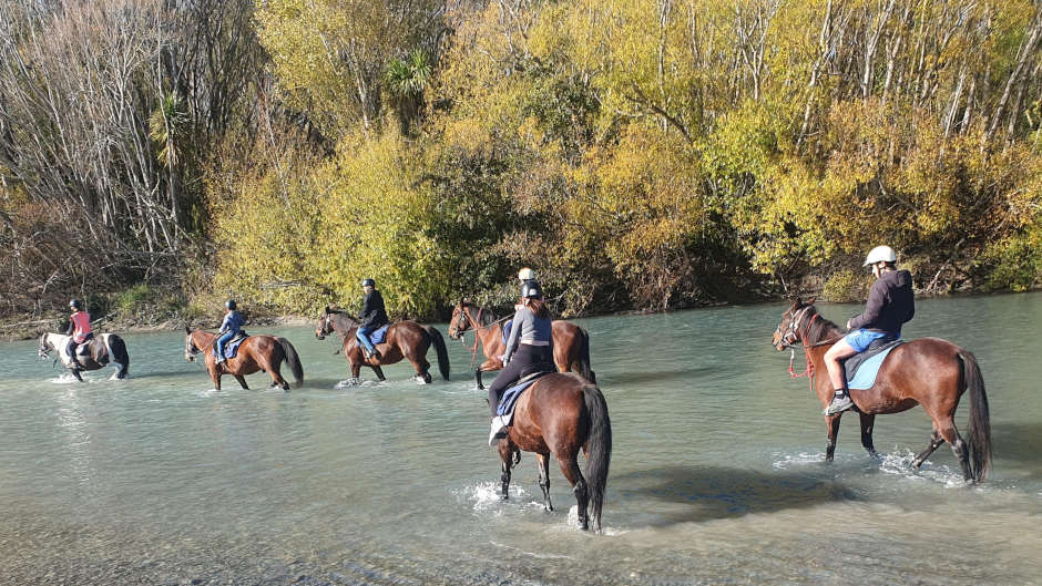 Set amongst stunning riverside scenery, Waimak River Riding Centre offers a safe and enjoyable riding experience for all abilities!
