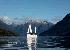 Fiordland Historic Cruises - Scenic Cruise Guided walk or Evening Champagne Cruise - Ex Te Anau