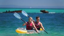 Moreton Island Adventure Day Tour - incl. Snorkel, Kayak and Sandboarding - Departs Brisbane