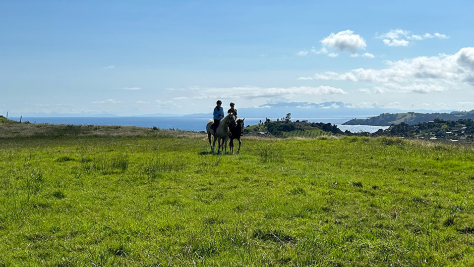 Experience a guided farm trek with breath-taking views over Waiheke Island, the Hauraki Gulf and beyond! 