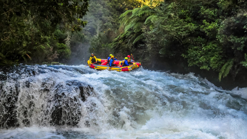 The Rangitaiki is an awesome half day Wilderness rafting trip passing through spectacular NZ scenery and Native bush!
