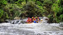 Whitewater Rafting - Rangitaiki Grade 4 Wilderness Trip