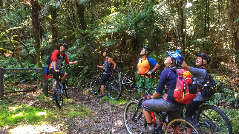 Ride through an ancient virgin forest on an easy grade 2 trail, have it all to yourself, enjoy a gourmet lunch and listen to native birds overhead. Finish the day with a soak in a remote hot spring and head back to Rotorua having experienced one of the unique day trips in New Zealand. An easy trail, suitable for anyone.
